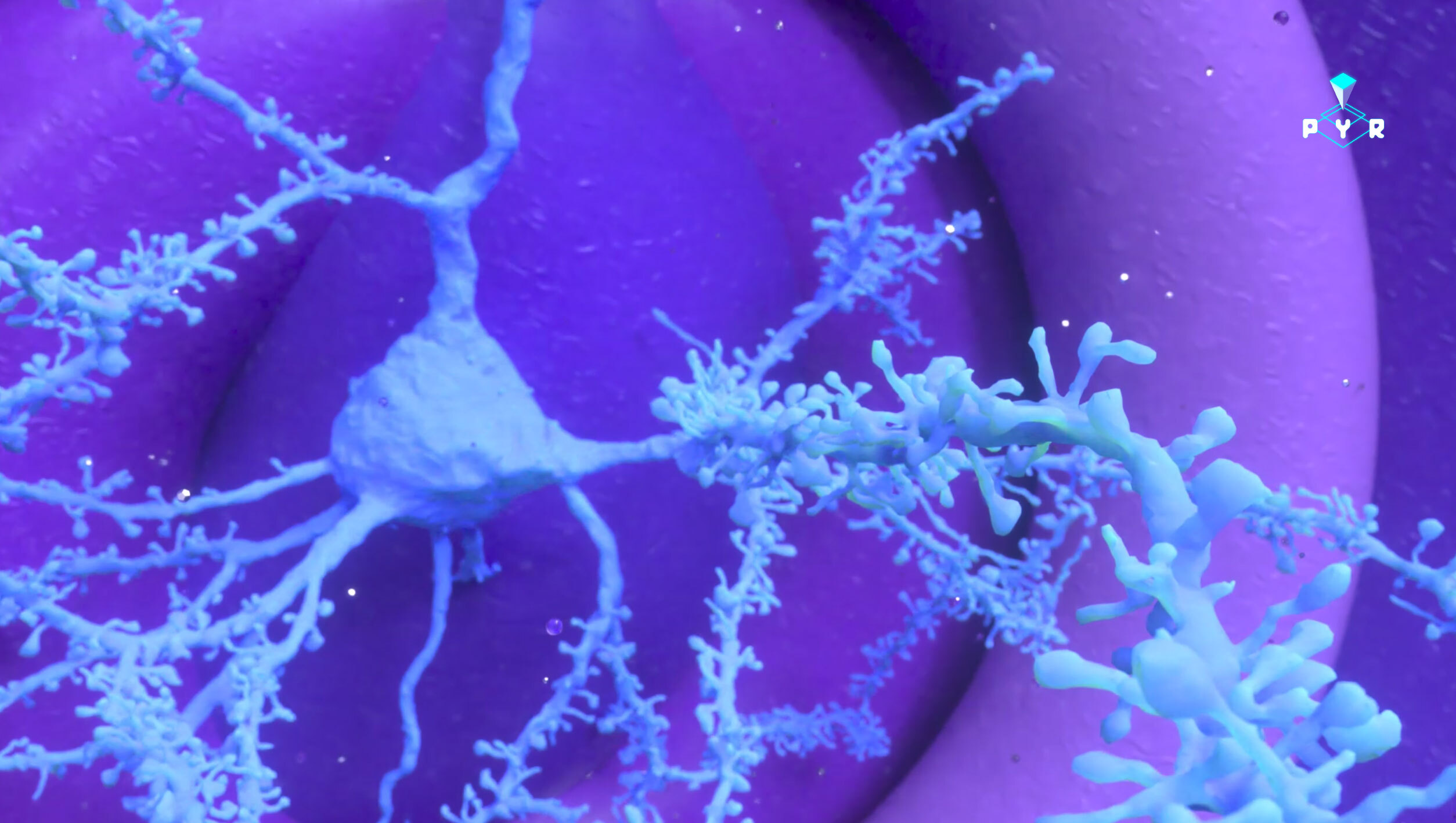 Pyramidal banner image